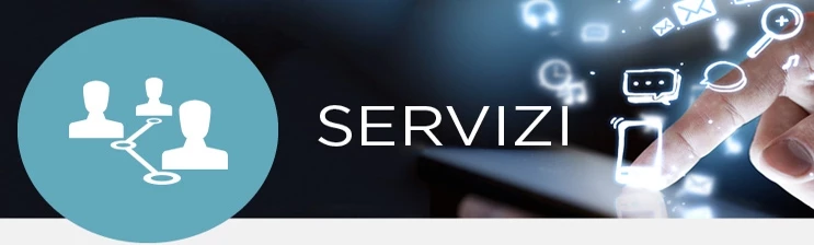 seervizi 1